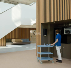 Forbo Sphera Essence 50525 canvas фото 2 | FLOORDEALER